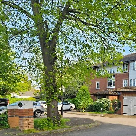 Lovely Flat Close To Shepherd'S Bush Apartment London Ngoại thất bức ảnh